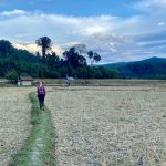 Lectii pe care le-am invatat din Laos